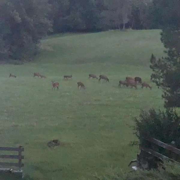 Alpine nest in Val di Zoldo，位于福尔诺迪佐尔多的酒店