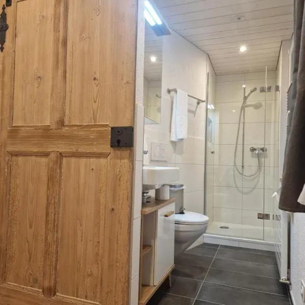 Mirchel Pintli, Zimmer 2, Hotel & Restaurant，位于采齐维尔的酒店