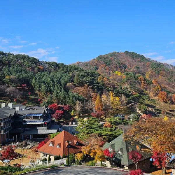 Nine Valley Park，位于报恩郡的酒店