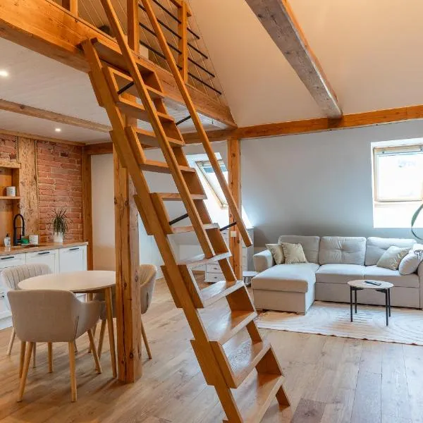 Jüri 15 Kesklinna Apartments，位于沃鲁的酒店