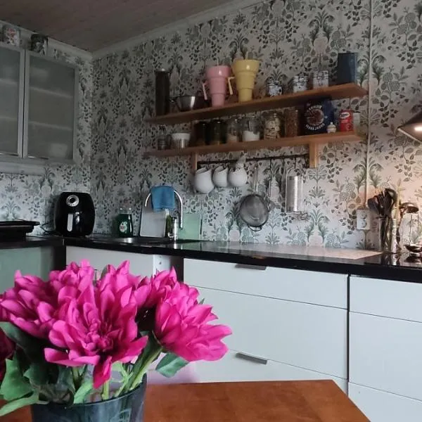 Nummen Ullakko, Vanhan Rauman kupeessa，位于劳马的酒店