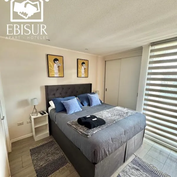EBISUR Apart - Hoteles CRUZ，位于康塞普西翁的酒店