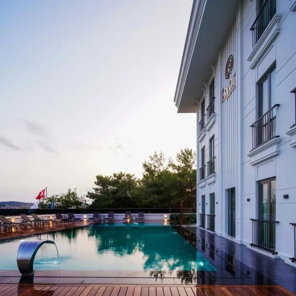 Byon Hotel Şile，位于希莱的酒店