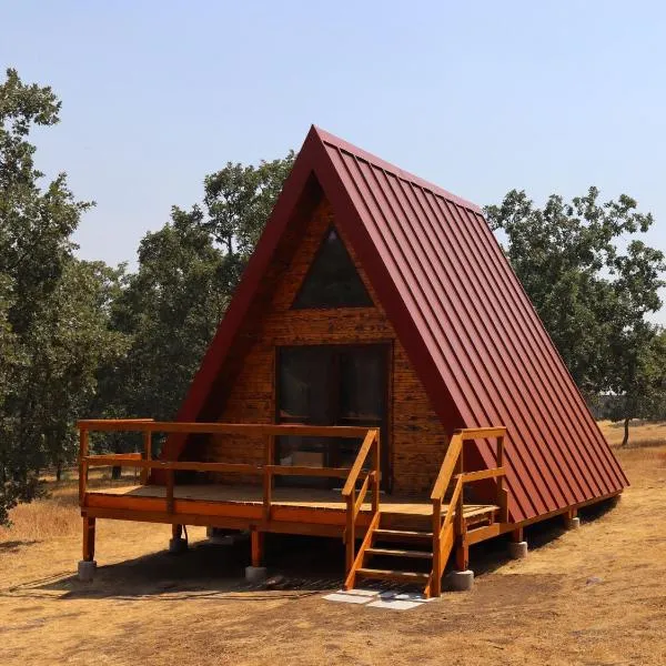 El Roble Glamping - Cabaña Alpina Familiar，位于Lagunilla的酒店