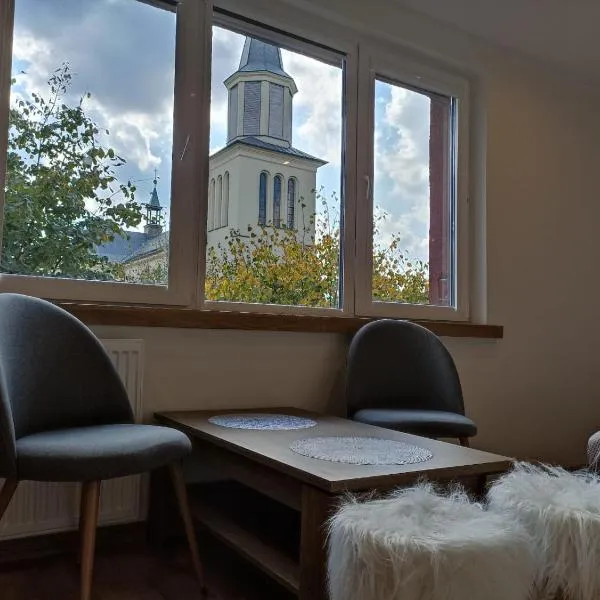 Apartament Pod Lipami，位于哈伊努夫卡的酒店