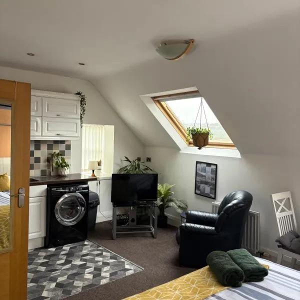 Cosy Ards Loft Apartment，位于纽敦纳兹的酒店