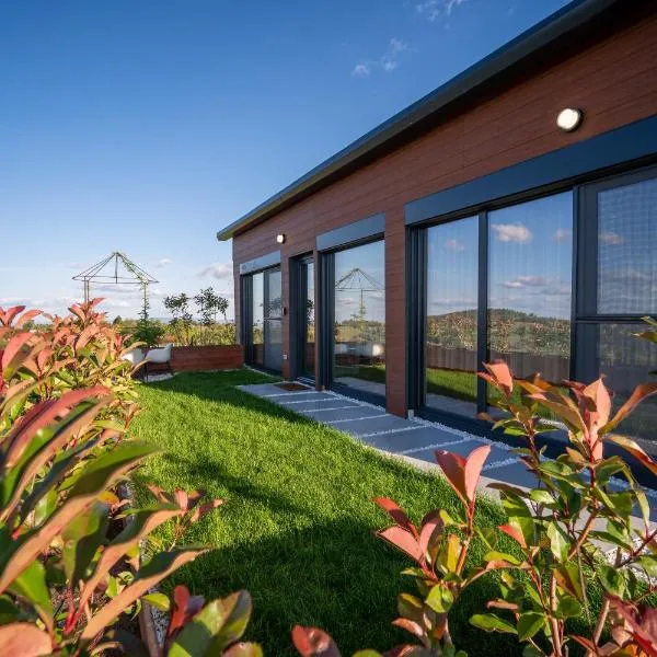 Casa Deluxe in Sinteu - intersectia intre modern si linistea naturii，位于Şinteu的酒店