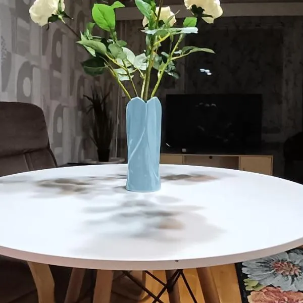 Siisti valoisa kolmio，位于列克萨的酒店