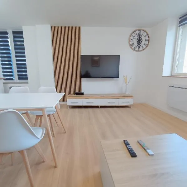 APPART' nasaline，位于Dieuze的酒店