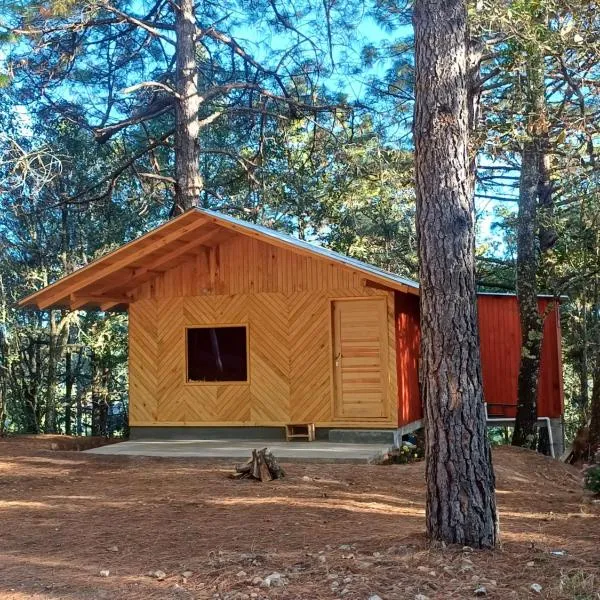 Cabaña en el Rancho，位于San Jose del Pacifico的酒店