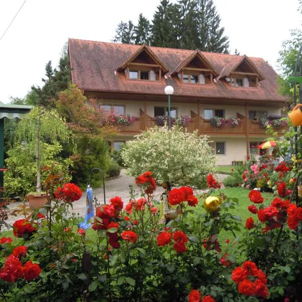 Gästehaus Zur schönen Aussicht，位于Oberhaag的酒店