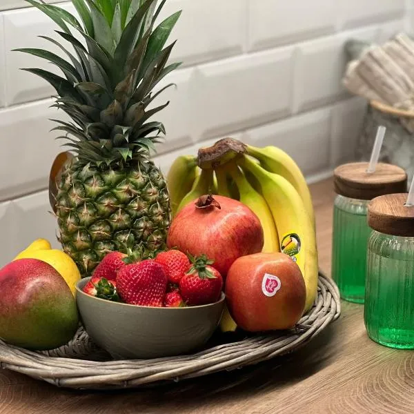 FeWo Storchennest，位于Steinburg的酒店