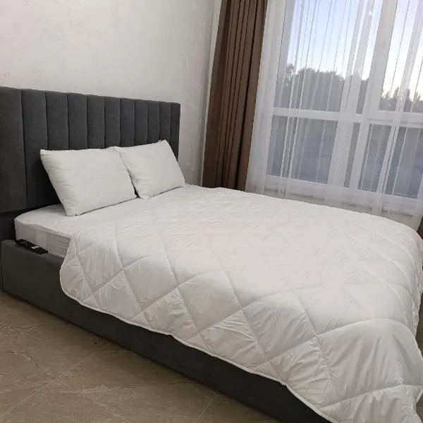 Апартаменти Ашан Автовокзал Стрийська，位于利沃夫的酒店