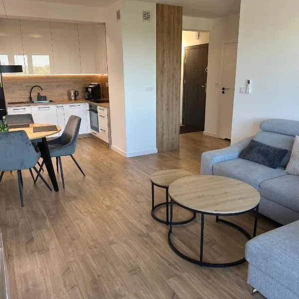 Apartament Rzemieślnicza Premium z garażem podziemnym，位于格沃古夫的酒店