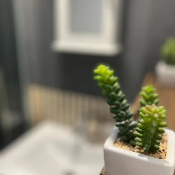 Cosy Home STUDIO，位于克罗伊登的酒店