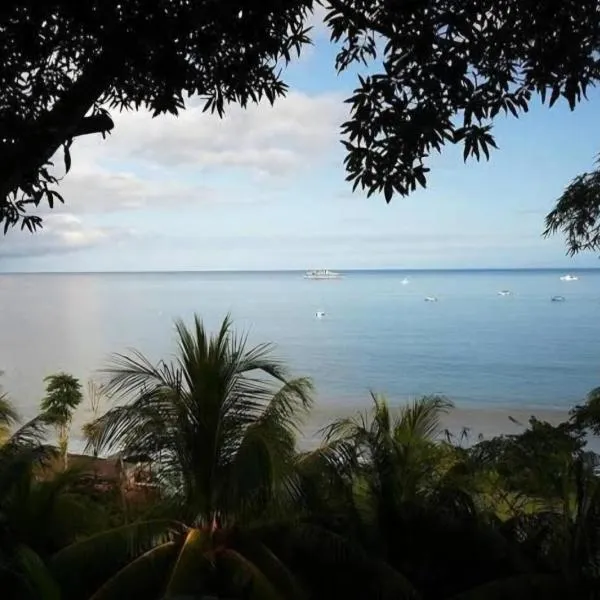 Cabinas Nasua Drake，位于德雷克的酒店