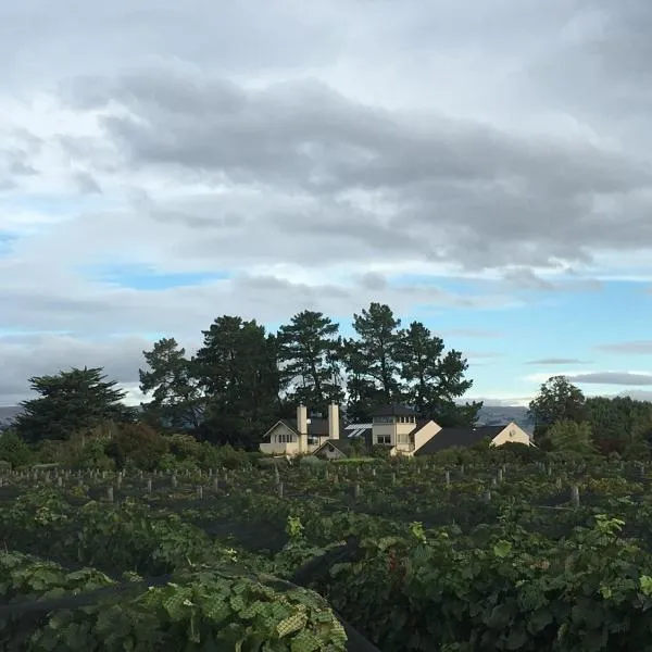 Nga Pari Vineyard，位于Gladstone的酒店