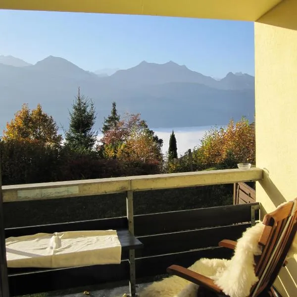 Blüemlisalp 712 Studio，位于贝阿滕贝格的酒店