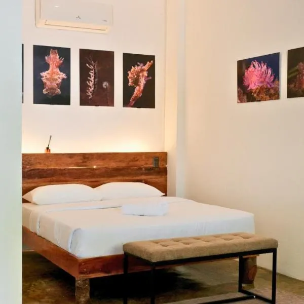 Critter Republic Dive Resort，位于道因的酒店