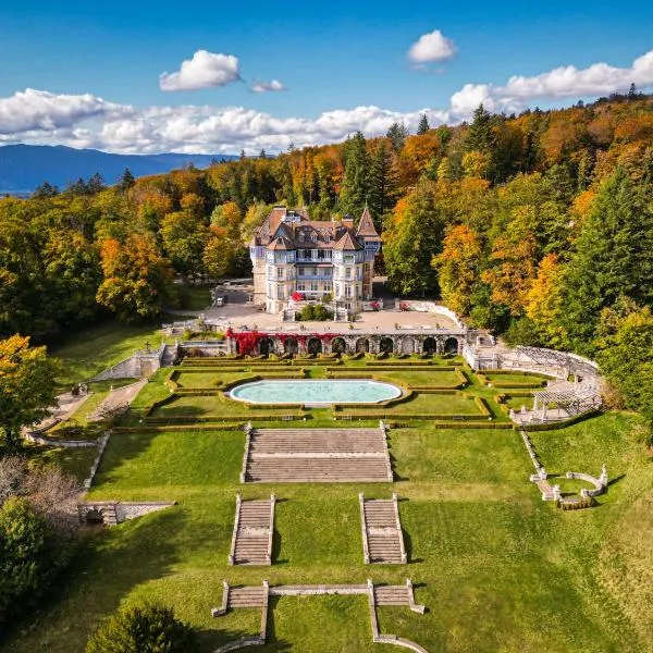 Château des Avenieres，位于克吕塞耶的酒店