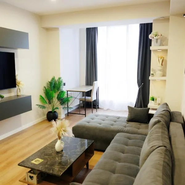 Apartment Soul，位于基希讷乌的酒店