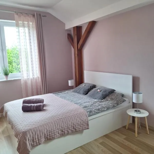 Apartament Platynowy - Malbork，位于马尔堡的酒店