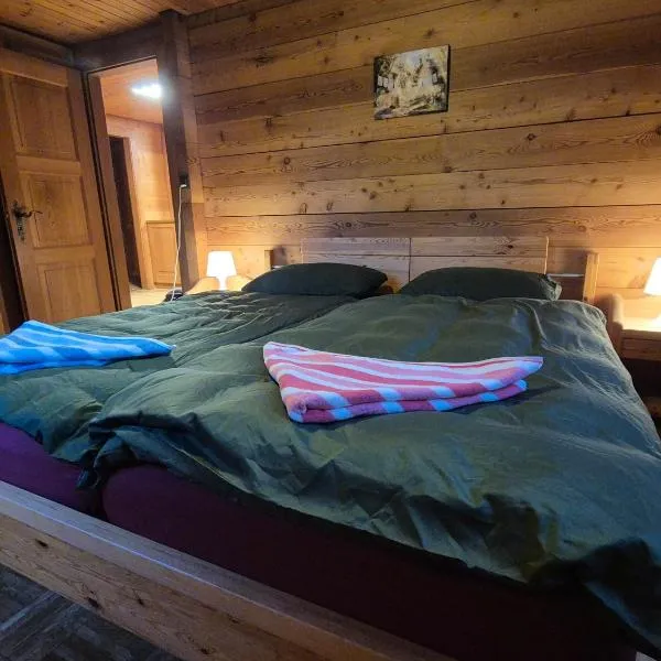 Gemütliches Walliser Chalet Nahe Aletschgebiet，位于布里特泽根的酒店