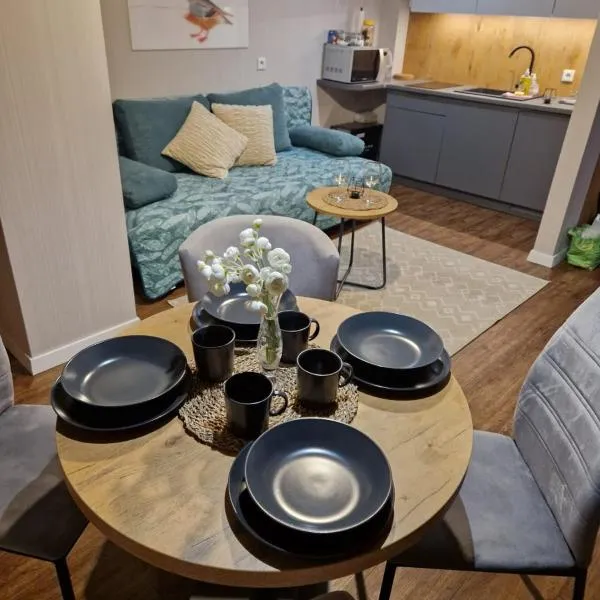 Kozubnik Apartment，位于Porąbka的酒店