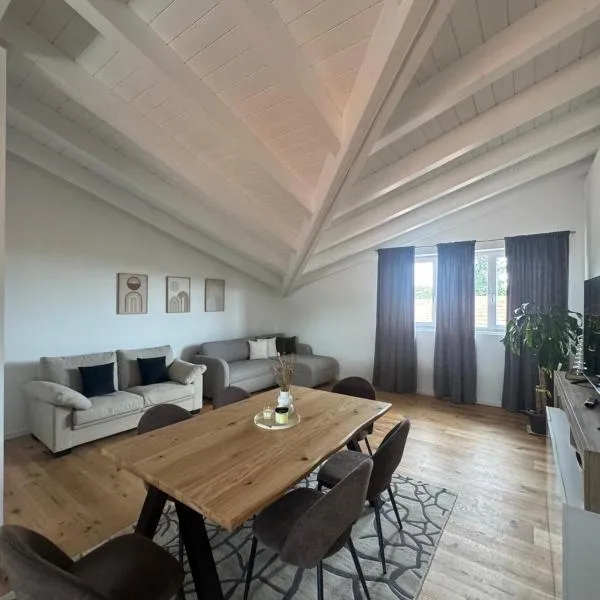 Apartment with Jacuzzi near Como Milano FREE PARKING，位于莫扎泰的酒店