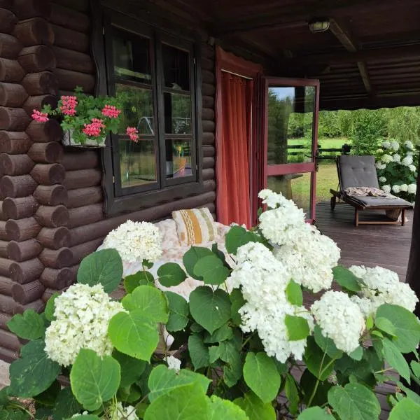 Wieża marzeń，位于Dąbrowa Białostocka的酒店