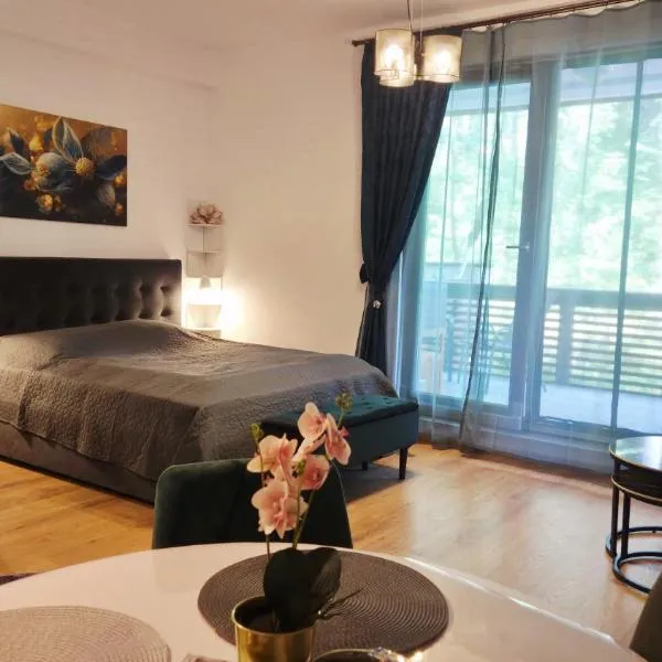 Ari Studio Clabucet，位于普雷代亚尔的酒店