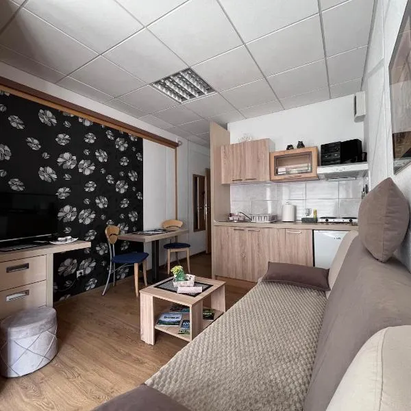 Apartment Čolović，位于Raška的酒店