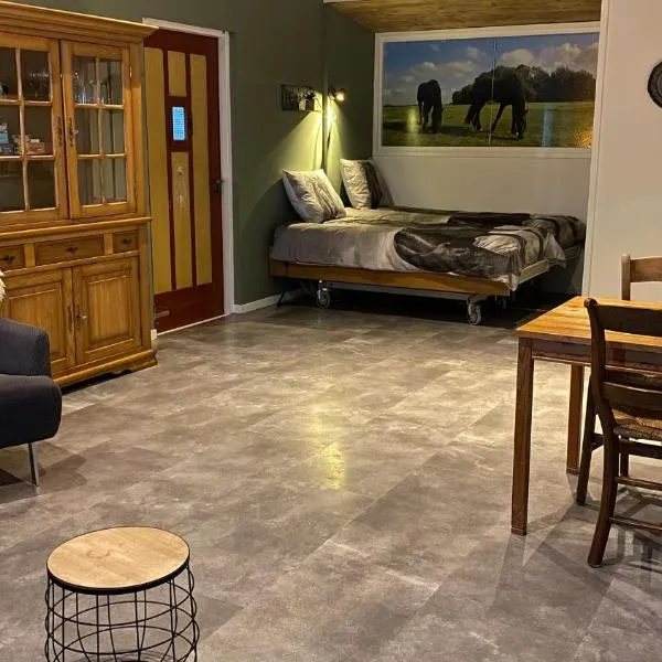 MagnaFrisia，位于Gauw的酒店