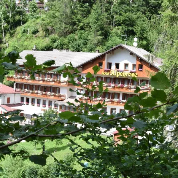Hotel Alpenrose，位于阿莱盖的酒店