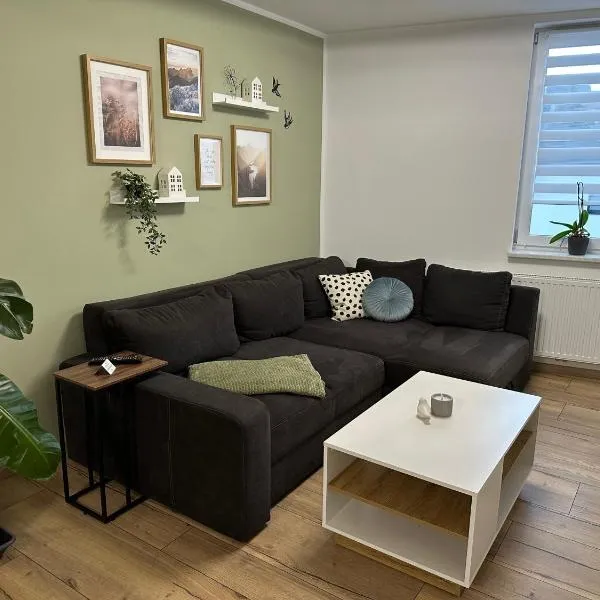 Ferienwohnung Schwalbennest，位于Eisfeld的酒店