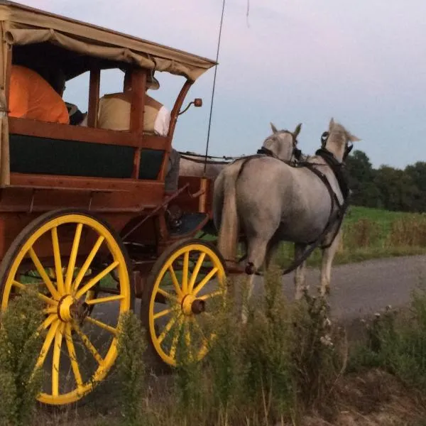 Ferienwohnungen "Am Mühlteich"，位于Radeburg的酒店
