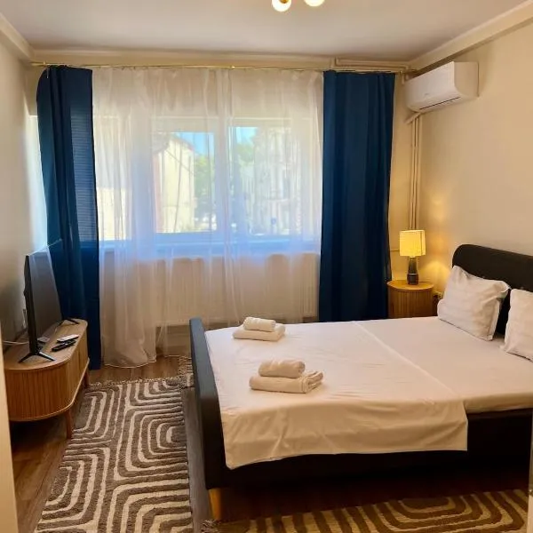 Constanta Seaside Studio，位于康斯坦察的酒店