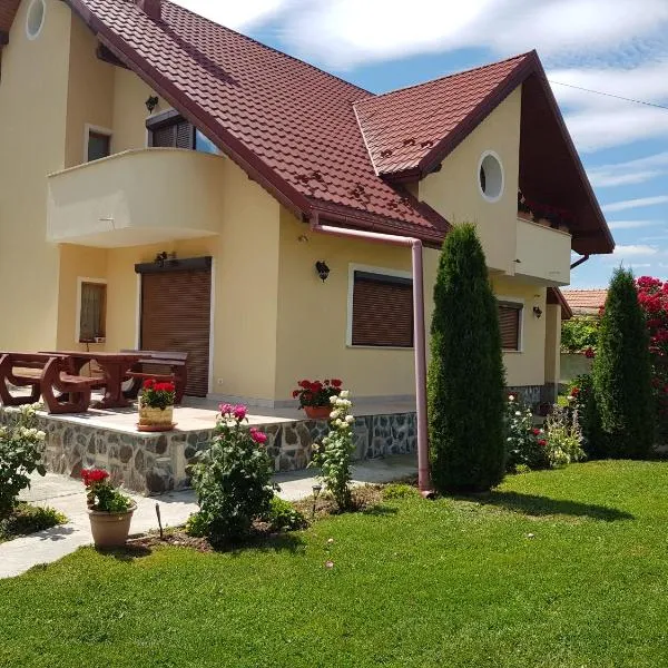 Vila Grecu，位于Copăcel的酒店