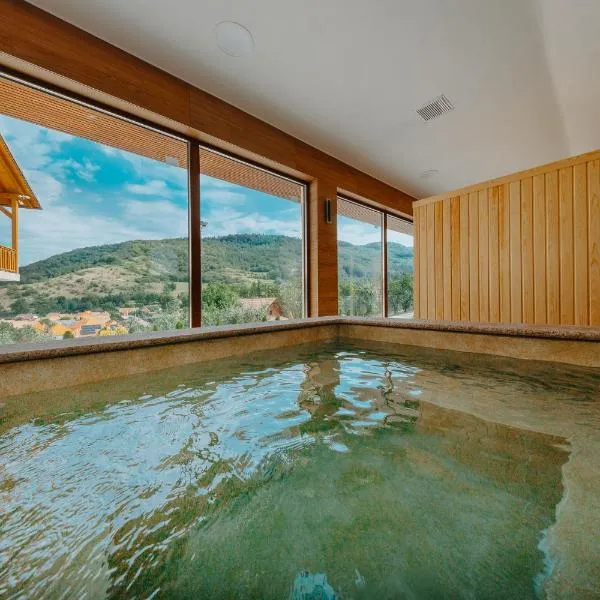 Pensiunea Patakparti 4，位于普拉伊德的酒店