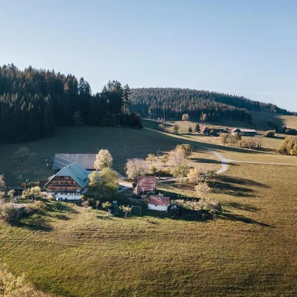 Sigmundenhof Schonach，位于Ölberg的酒店