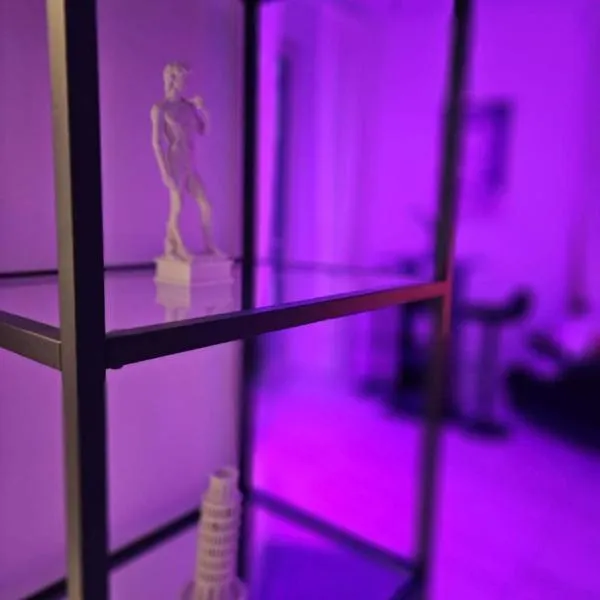 Majestic Salus Spa，位于菲乌吉的酒店