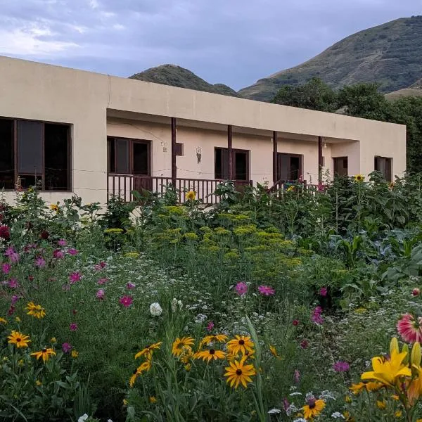 Bee House，位于Kilda的酒店