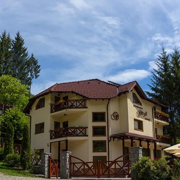 Pensiunea Görgő Panzió，位于Aita Medie的酒店