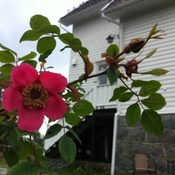 Arctic Garden，位于Gullesfjord的酒店