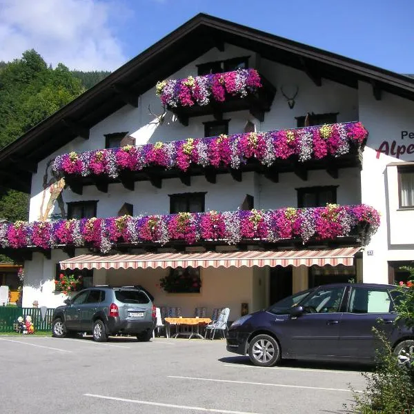 Pension Alpenrose，位于滨湖采尔的酒店