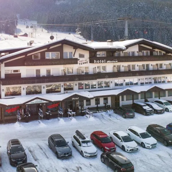 海因茨酒店，位于布鲁尼科的酒店