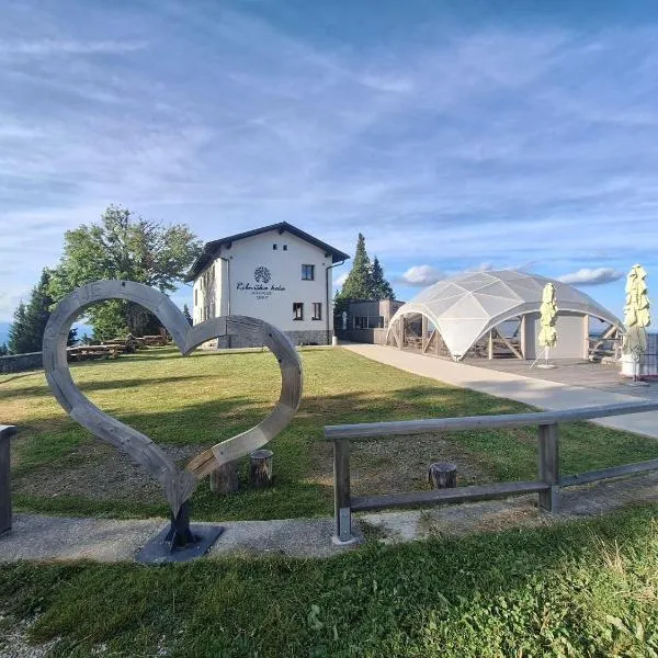 Ribniška koča，位于Ribnica na Pohorju的酒店