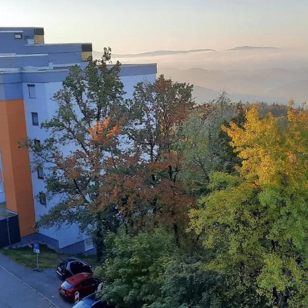 Ferienwohnungen Adri im Ferienpark Geyersberg，位于弗赖翁的酒店