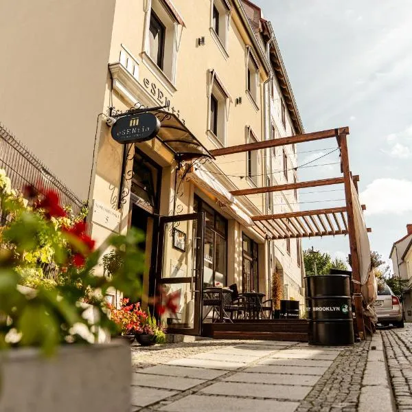 Pensjonat eSENtia，位于兹戈热莱茨的酒店