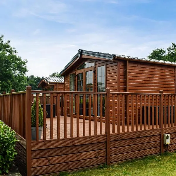 Salmon-Leap Lodge，位于Dollar的酒店